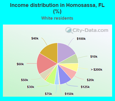 Income distribution in Homosassa, FL (%)