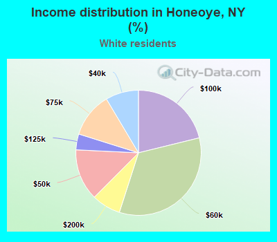 Income distribution in Honeoye, NY (%)