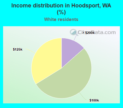 Income distribution in Hoodsport, WA (%)