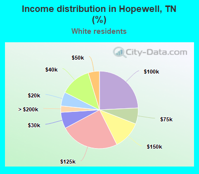 Income distribution in Hopewell, TN (%)