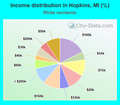 Income distribution in Hopkins, MI (%)