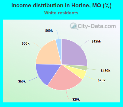 Income distribution in Horine, MO (%)