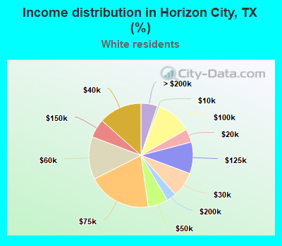 Income distribution in Horizon City, TX (%)