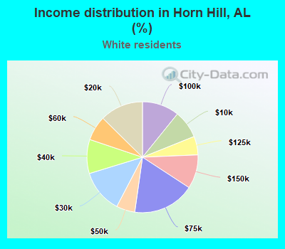 Income distribution in Horn Hill, AL (%)