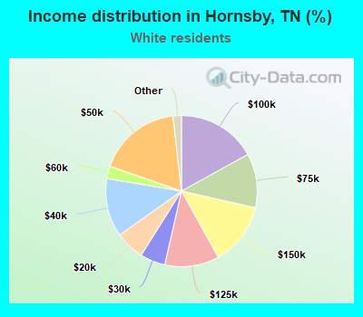 Income distribution in Hornsby, TN (%)