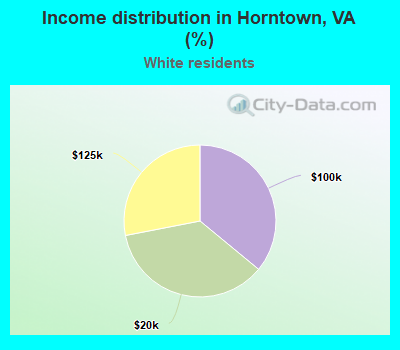 Income distribution in Horntown, VA (%)