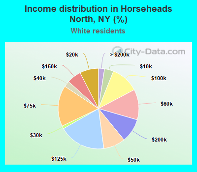 Income distribution in Horseheads North, NY (%)