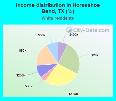Income distribution in Horseshoe Bend, TX (%)