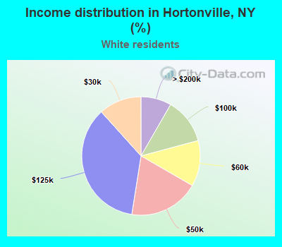 Income distribution in Hortonville, NY (%)