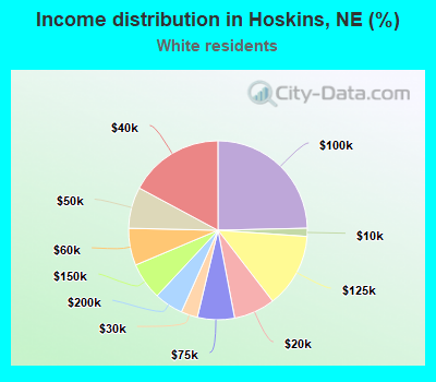 Income distribution in Hoskins, NE (%)