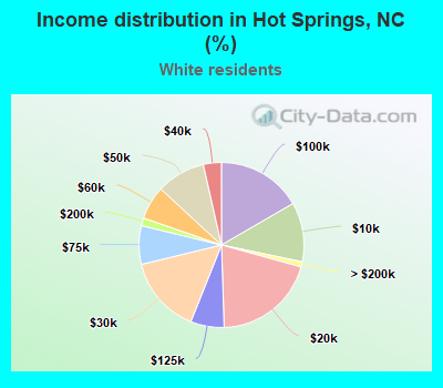 Income distribution in Hot Springs, NC (%)
