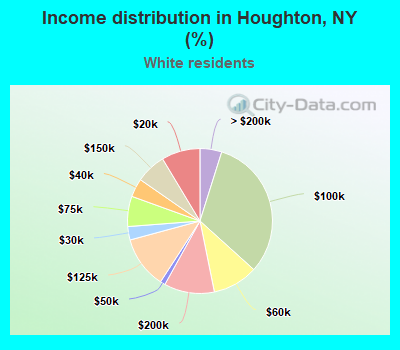 Income distribution in Houghton, NY (%)
