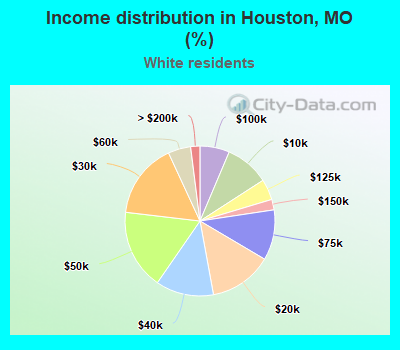 Income distribution in Houston, MO (%)