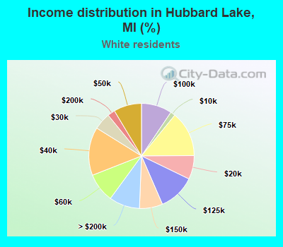 Income distribution in Hubbard Lake, MI (%)