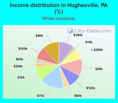 Income distribution in Hughesville, PA (%)