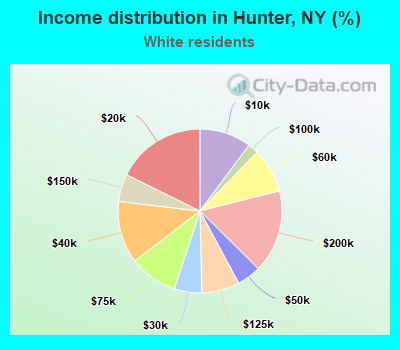 Income distribution in Hunter, NY (%)