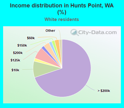 Income distribution in Hunts Point, WA (%)