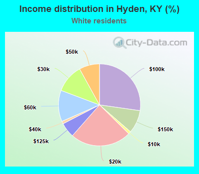 Income distribution in Hyden, KY (%)