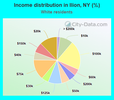 Income distribution in Ilion, NY (%)