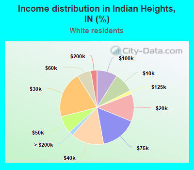 Income distribution in Indian Heights, IN (%)
