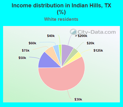 Income distribution in Indian Hills, TX (%)