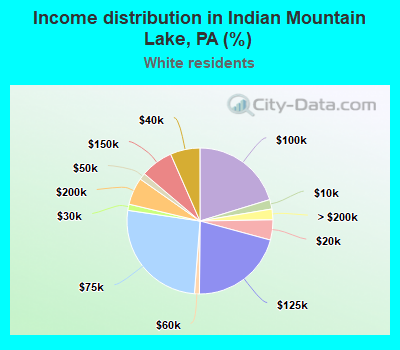 Income distribution in Indian Mountain Lake, PA (%)