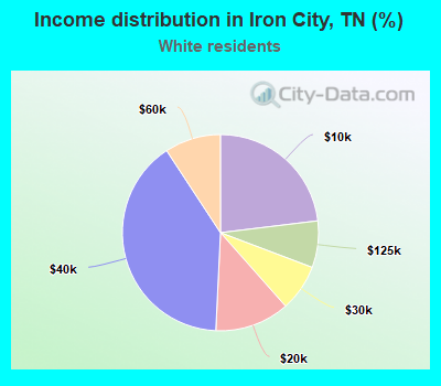 Income distribution in Iron City, TN (%)