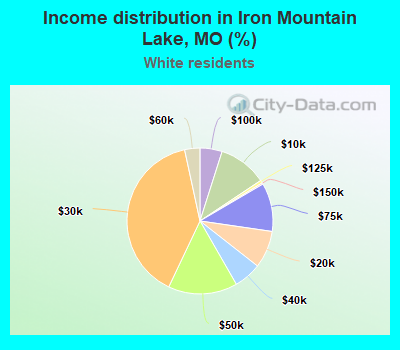Income distribution in Iron Mountain Lake, MO (%)