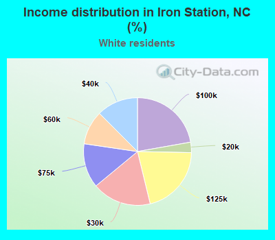 Income distribution in Iron Station, NC (%)