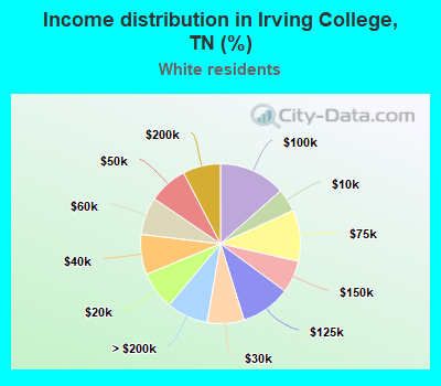 Income distribution in Irving College, TN (%)