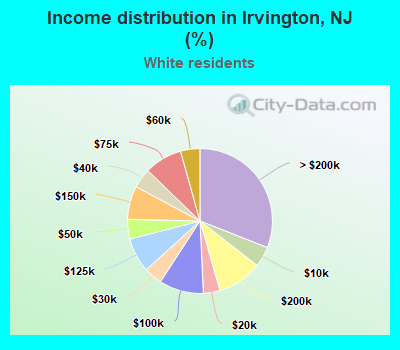 Income distribution in Irvington, NJ (%)