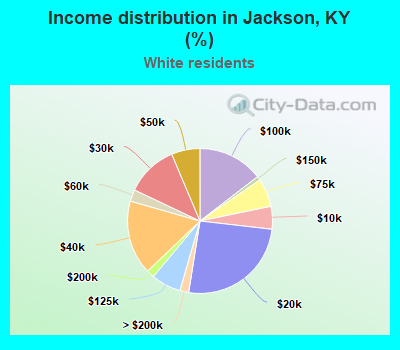 Income distribution in Jackson, KY (%)