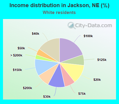Income distribution in Jackson, NE (%)