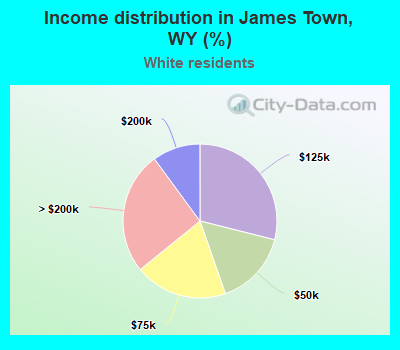Income distribution in James Town, WY (%)