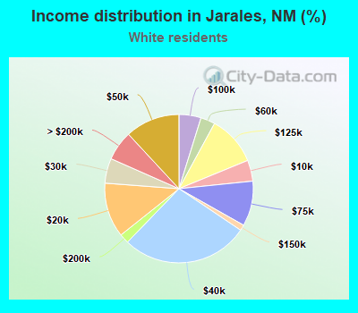 Income distribution in Jarales, NM (%)