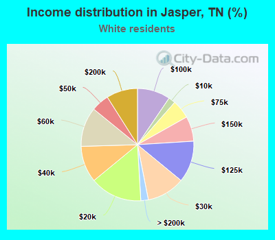 Income distribution in Jasper, TN (%)