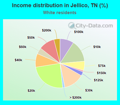 Income distribution in Jellico, TN (%)