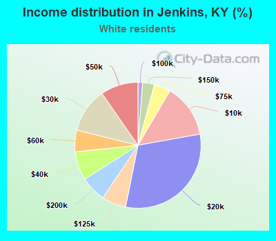 Income distribution in Jenkins, KY (%)