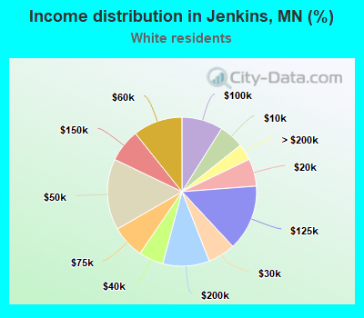 Income distribution in Jenkins, MN (%)