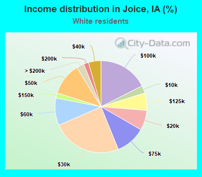 Income distribution in Joice, IA (%)