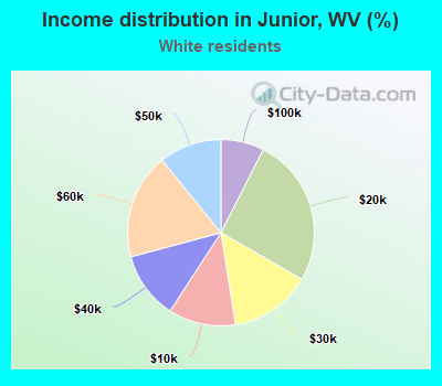 Income distribution in Junior, WV (%)