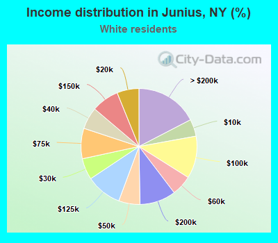 Income distribution in Junius, NY (%)