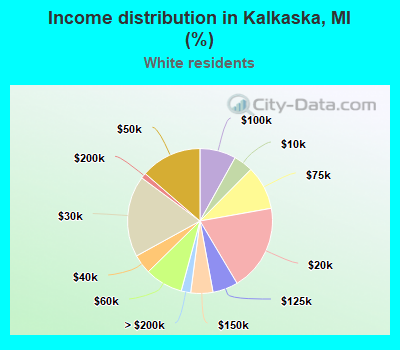 Income distribution in Kalkaska, MI (%)