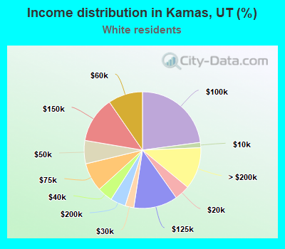 Income distribution in Kamas, UT (%)