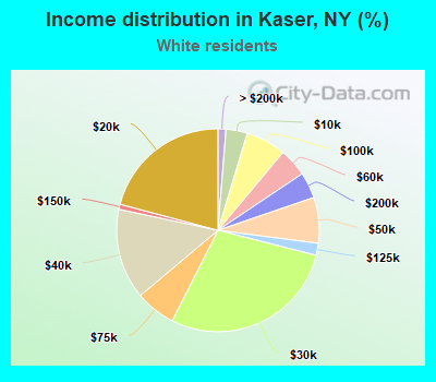 Income distribution in Kaser, NY (%)