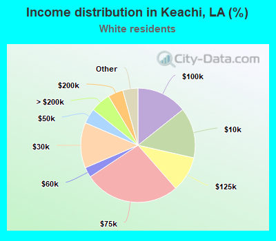 Income distribution in Keachi, LA (%)