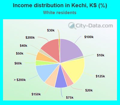 Income distribution in Kechi, KS (%)