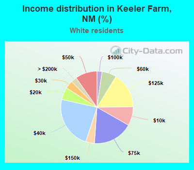 Income distribution in Keeler Farm, NM (%)