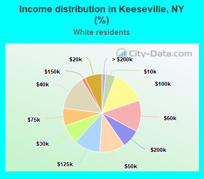 Income distribution in Keeseville, NY (%)