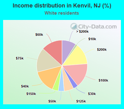Income distribution in Kenvil, NJ (%)